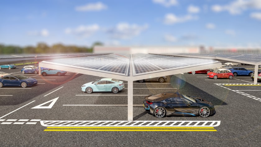 Solar Tree canopy